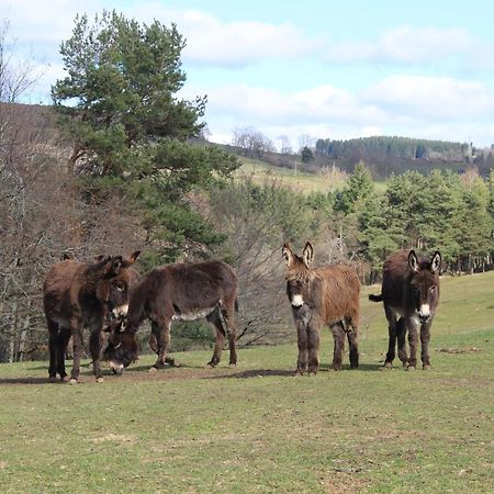 gite à la ferme L'Estrade Extérieur photo