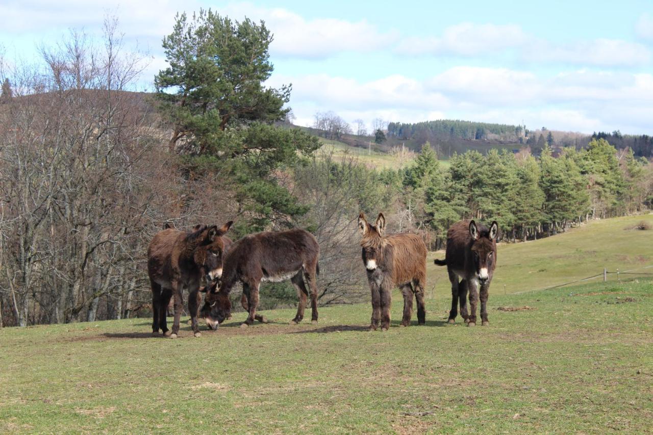 gite à la ferme L'Estrade Extérieur photo